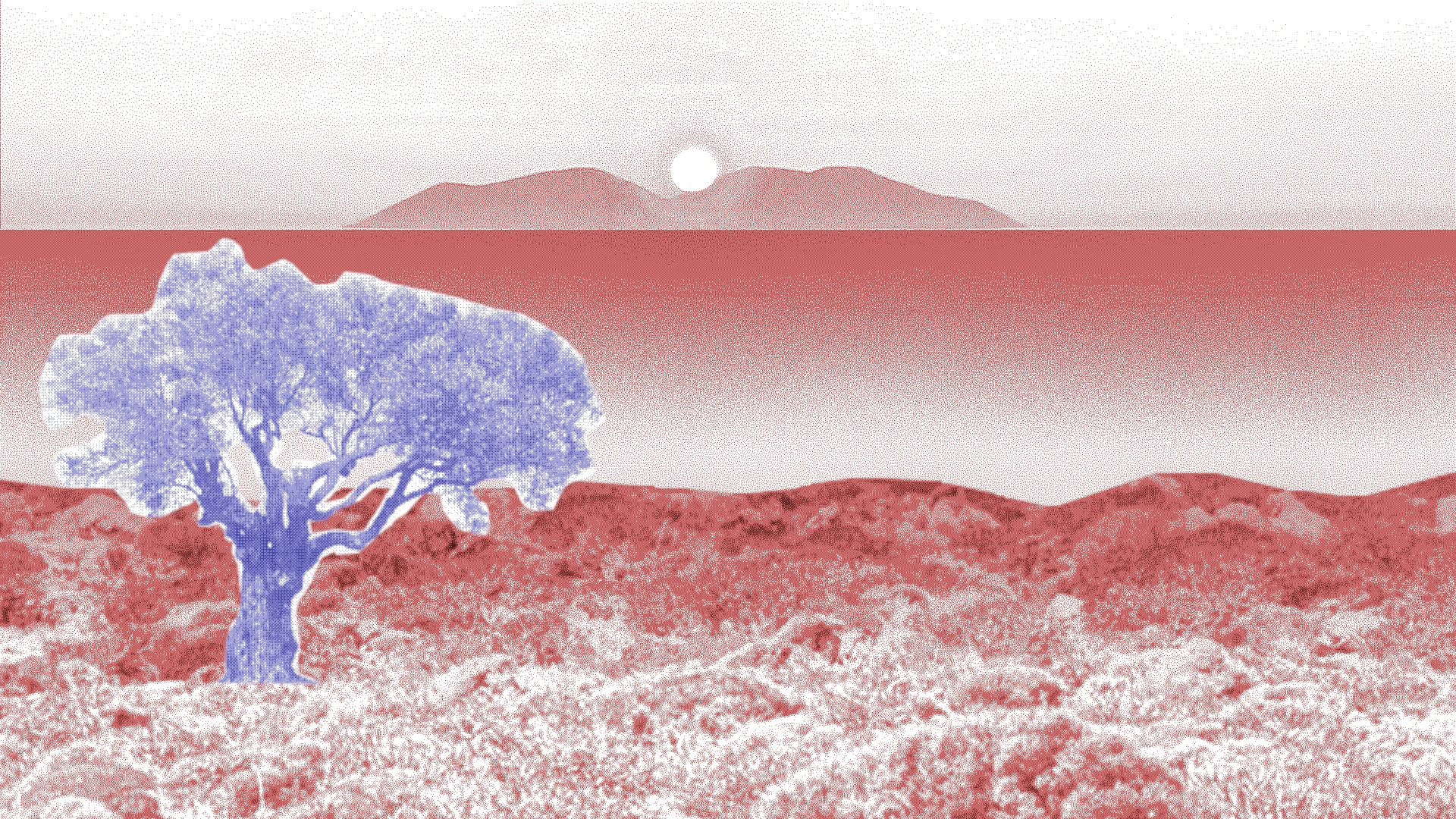 Grainy red tinted view of a sea with transpositioned blue tinted tree.